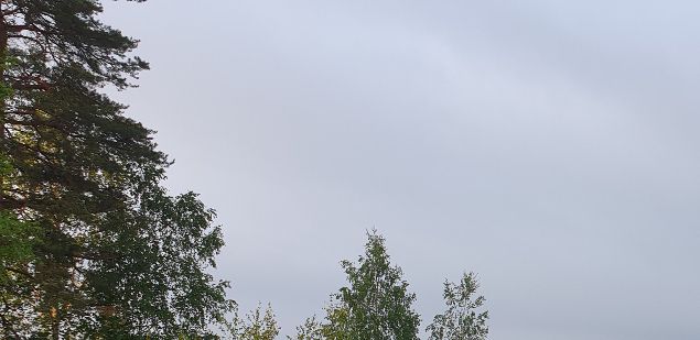 Kaunis kesä eteni ja matkailijat löysivät joelle.Kiitos teistä kaikista ❤ Ohrapeltokin alkoi vihertää.