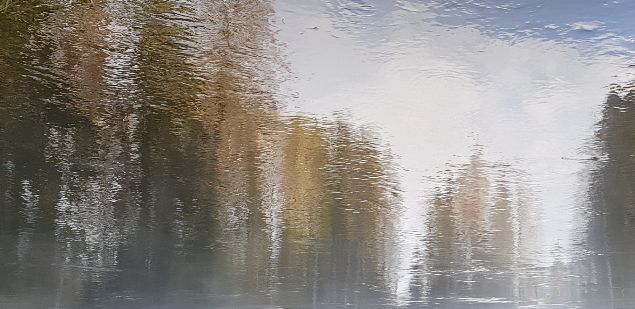Ja sitten tuli korona. Kevät jatkoi kuitenkin etenemistään.Pihaa alettiin kunnostaa ja ja mieli oli toiveikkaana tulevaisuudessa, jossa ideat voi laittaa käytäntöön.

Katsomo tuli kitkettyä puolitoista metrisistä taimista ja runsaasta horsmakasvustosta. Pensaat pantiin matalaksi ja vuosien lakoontuneet heinät ajettiin silpuksi. 

Oli aikaa tutustua lähiympäristöön ja suunnitella patikkareittejä.