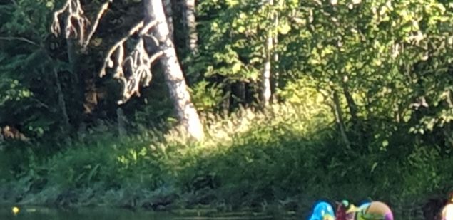 Ovenraossa ideoitu Skumppakellunta toteutui heinäkuussa kulttuuriviikolla. Joukkueet olivat panostaneet niin aluksiin, kuin pukeutumiseenkin. Tästä tuli perinne!