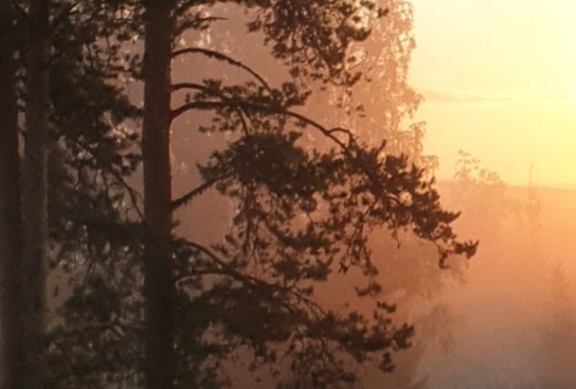 Aurinko nousee vastarannan peltojen takaa. Aikaiset aamut joella ovat välillä näin huikeita ja aina yhtä maagisia.