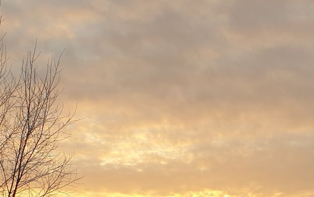 Kaamoksen aurinko pilkotti vähän Venäjän suunnasta joulukuun alkupuolella.