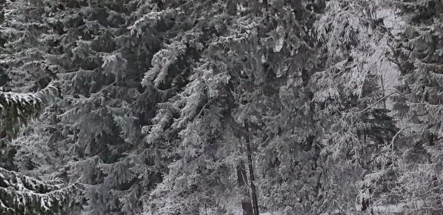 tammikuu toi kovat pakkaset ja jokikin jäätyi paikka paikoin. Saunalta jokiareenalle päin on akanvirtaa, joka muuttui jääpeitteeksi joen yli.